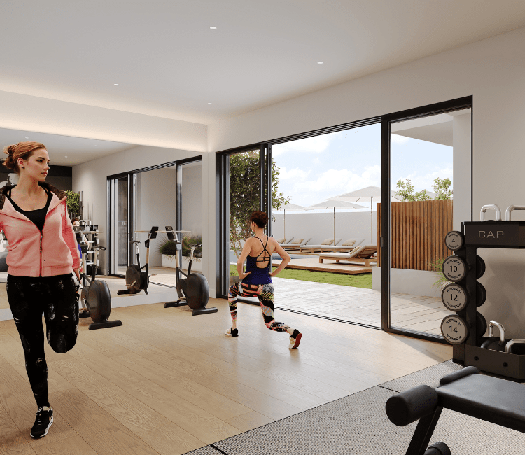 Gimnasio